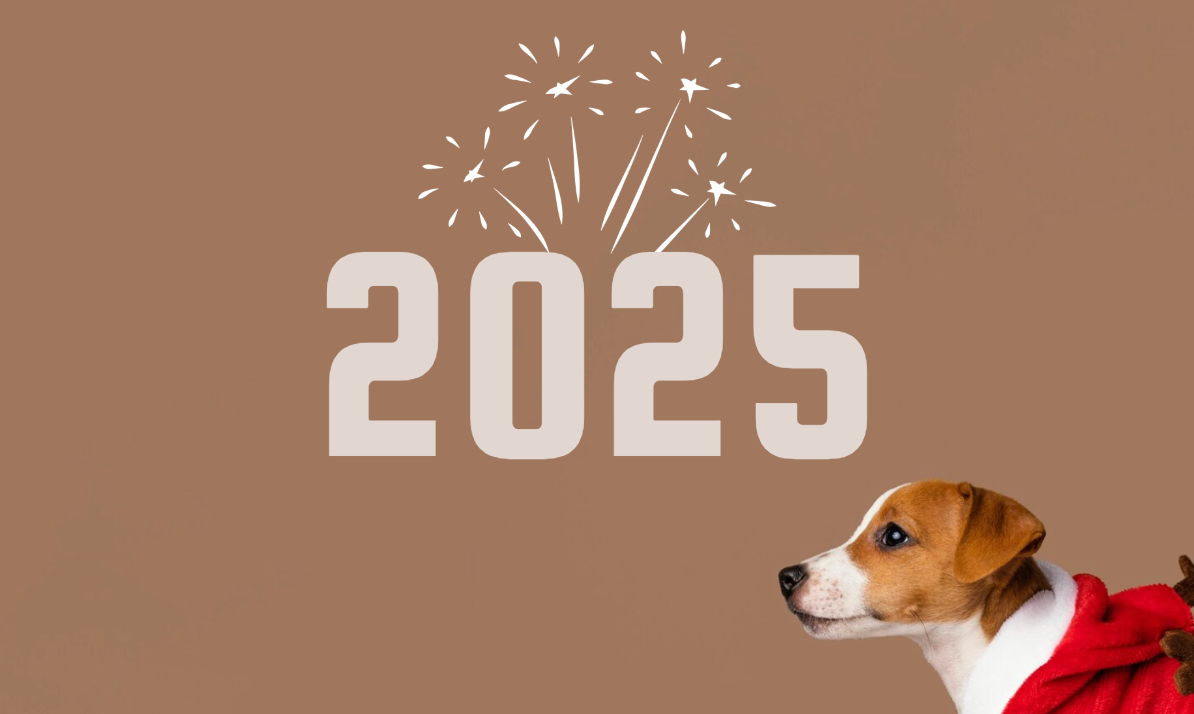 2025